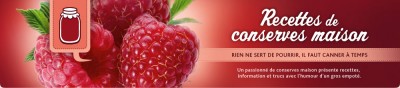 logo blogue vincent.jpg